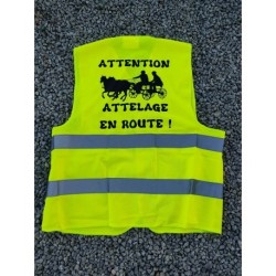 Gilet Jaune